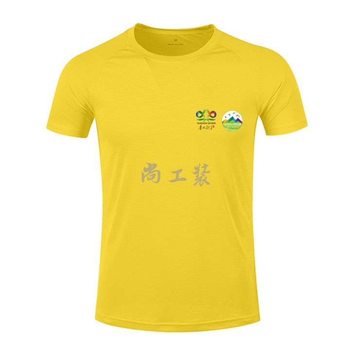 贵州国际滑翔伞比赛T恤(图1)